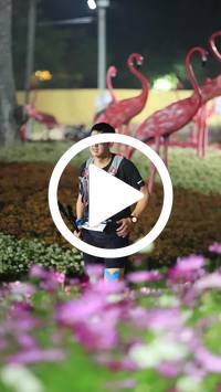 BIB:  <button type="button" onclick="openModal(27591091)" class="btn btn-primary btn-sm float-right" data-toggle="modal" data-target=".modal-high-quality">
                <i class="fa fa-download"></i> Download
                </button>